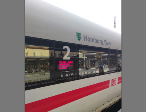 Die achten Klassen in Berlin