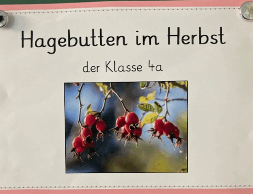 Die Hagebutten im bunten Herbst