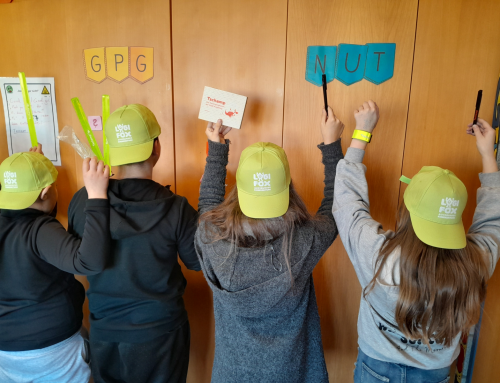 Zwischen den bunten Seiten von Logifox wartet das Glück