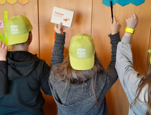 Zwischen den bunten Seiten von Logifox wartet das Glück