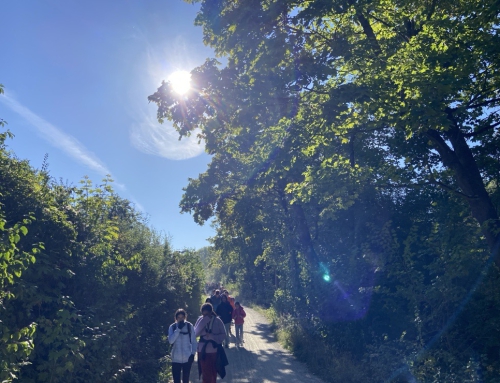 Wandertag der fünften und sechsten Klassen